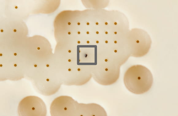 black speck on PPS material