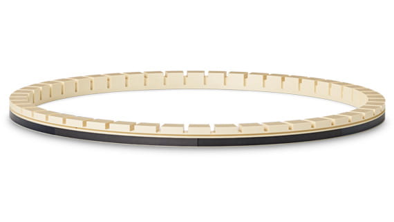 PPS Retaining ring TECATRON CMP natural