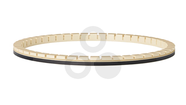 Retaining ring TECATRON CMP natural