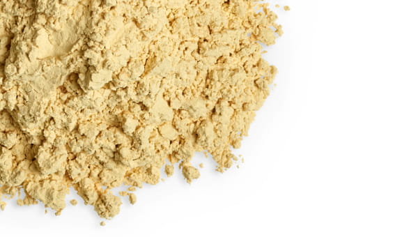 Powder from Ensinger TECAPOWDER