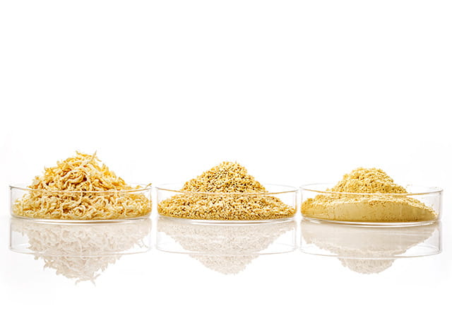Various grain sizes of TECAPOWDER